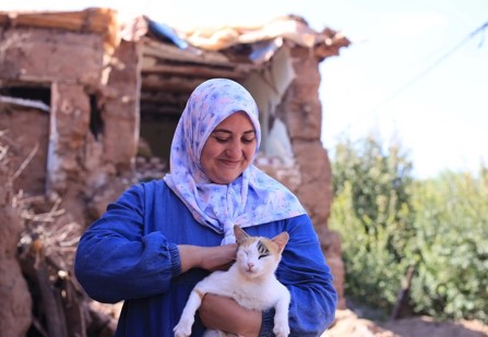 Les chatons de Mimi : un symbole d'espoir au lendemain du tremblement de terre au Maroc